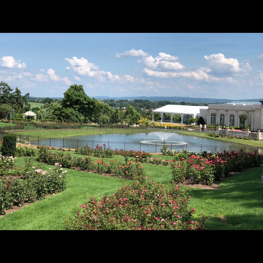 Meet your Posher, Yuliya